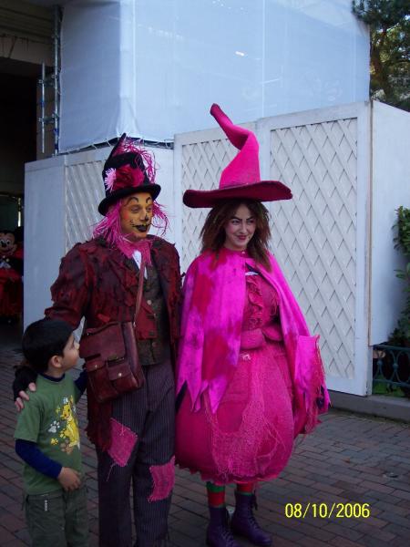 l'epouventail et la sorciere rose